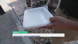 What you need to know about West Nile virus as cases spread in the tri-state News Clip