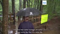 ‘We’ll just put on the yes hat’: Tourists try to stay positive in the face of Denmark’s wet weather Instructional Video