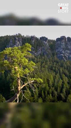 Discover Germany’s breathtaking Bastei Bridge and City of Stone Instructional Video