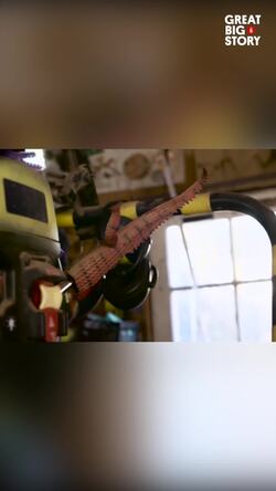 Unmasking creativity, Michael Gump's daily art Instructional Video