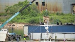 CLEAN : FILE: Orcas loaded onto trucks at Russia's 'whale jail' News Clip