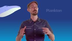 Blue whale | Ocean Literacy Instructional Video