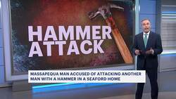 Man arrested for striking man with hammer during argument News Clip