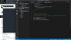 The Modern JavaScript Bootcamp (2019) - Improve Our Expense Tracker Instructional Video