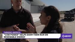 'Cow Power' Helps Dairy Farm Run On Renewable Energy News Clip