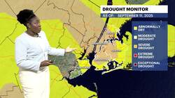 Warmer and brighter today; rain returns Sunday night for Brooklyn News Clip