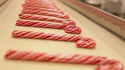 Making Candy Canes Stock Footage