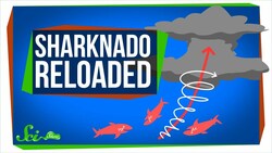 Sharknado Reloaded: Yep, Still Impossible Instructional Video