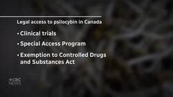 Take a look inside the B.C. lab producing magic mushrooms News Clip