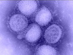 Understanding Infectious Diseases and Transmission Instructional Video