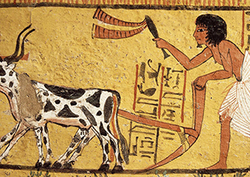 The birth of ancient Egypt Instructional Video