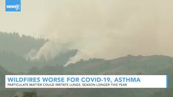 Wildfires Worse For COVID-19, Asthma and Allergies News Clip