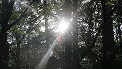 Weather: Summing Up (Weather) Instructional Video