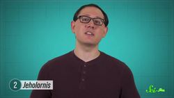 These Extinct Birds Really Stretch the Definition of “Bird” Instructional Video