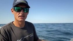 VOICED : Indian Ocean ballet: South Africa's breathtaking 'sardine run' News Clip