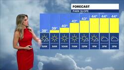 Expect sun and clouds for Black Friday with a chilly breeze in Brooklyn News Clip