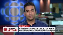 Breaking News : HAKIQUE VIRANI NN INT News Clip