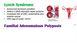 Colon Cancer Risk Factors (& Ways to Reduce Risk) | Genetics, Dietary & Lifestyle Instructional Video