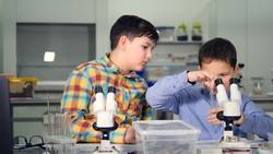 What are the challenges of working in synthetic biology? Instructional Video