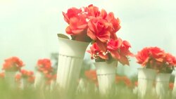 CLEAN : Democrats call for gun control legislation at memorial honoring victims News Clip