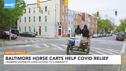 Horse Carts Delivering COVID-19 Relief In Baltimore News Clip