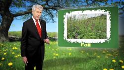 Pollen Count Instructional Video