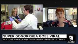Super Gonorrhea is Officially Here. Here's How it Came to Be News Clip
