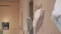 Inside the new Montreal exhibition celebrating Inuit art News Clip