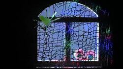 Atmosphere of Halloween Stock Footage