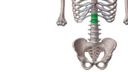 Muscles of the orbit Instructional Video