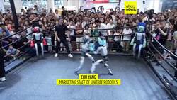 Robots fight in boxing match at 2025 World Robot Conference News Clip