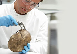 Datación por carbono Instructional Video