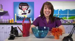 More about Living and Nonliving Things Instructional Video