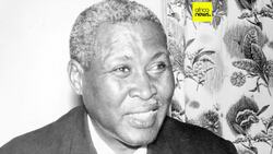 South African court rules anti-Apartheid icon Albert Luthuli was murdered, not killed in accident News Clip
