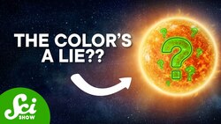 The Sun Is Green Instructional Video