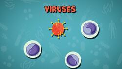 High Five Facts - Lymphatic System Instructional Video