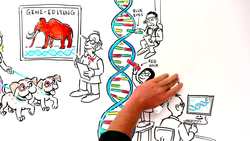 Should We Bring Back Extinct Species? Instructional Video