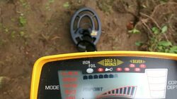 Metal Detector Finds Buried Treasure Stock Footage