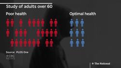 Social ties key for older adults rebounding from health issues: study News Clip