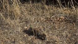 Unexploded bomb causes severe delays at major train station Instructional Video