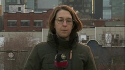 Canadian jailed in Dubai to remain in prison News Clip