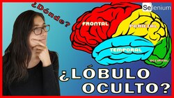 El lóbulo que NO te ENSEÑARON - No te IMAGINAS lo que hace | Insula Instructional Video
