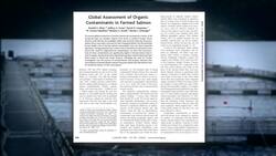 Wild vs. Farmed Fish: Which Is Healthier? Instructional Video