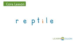 Breaking Down Tricky Words: Using the Bossy E Strategy Instructional Video