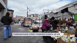 Fordham Road street vendors fear immigration crackdown Instructional Video