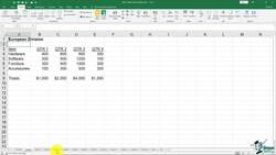The Complete Excel Guide: Beginners to Advanced - Module 9 - Practice Exercise Instructional Video
