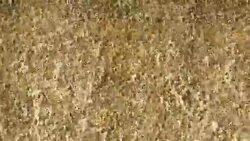 waterfall over rocks Stock Footage