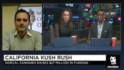 Cannabis Company NorCal Secures $27 Million, Readies Itself for Global Dominance News Clip