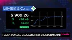 FDA Approves Eli Lilly Alzheimer's Drug News Clip