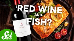 Does Red Wine Really Go with Steak? Instructional Video